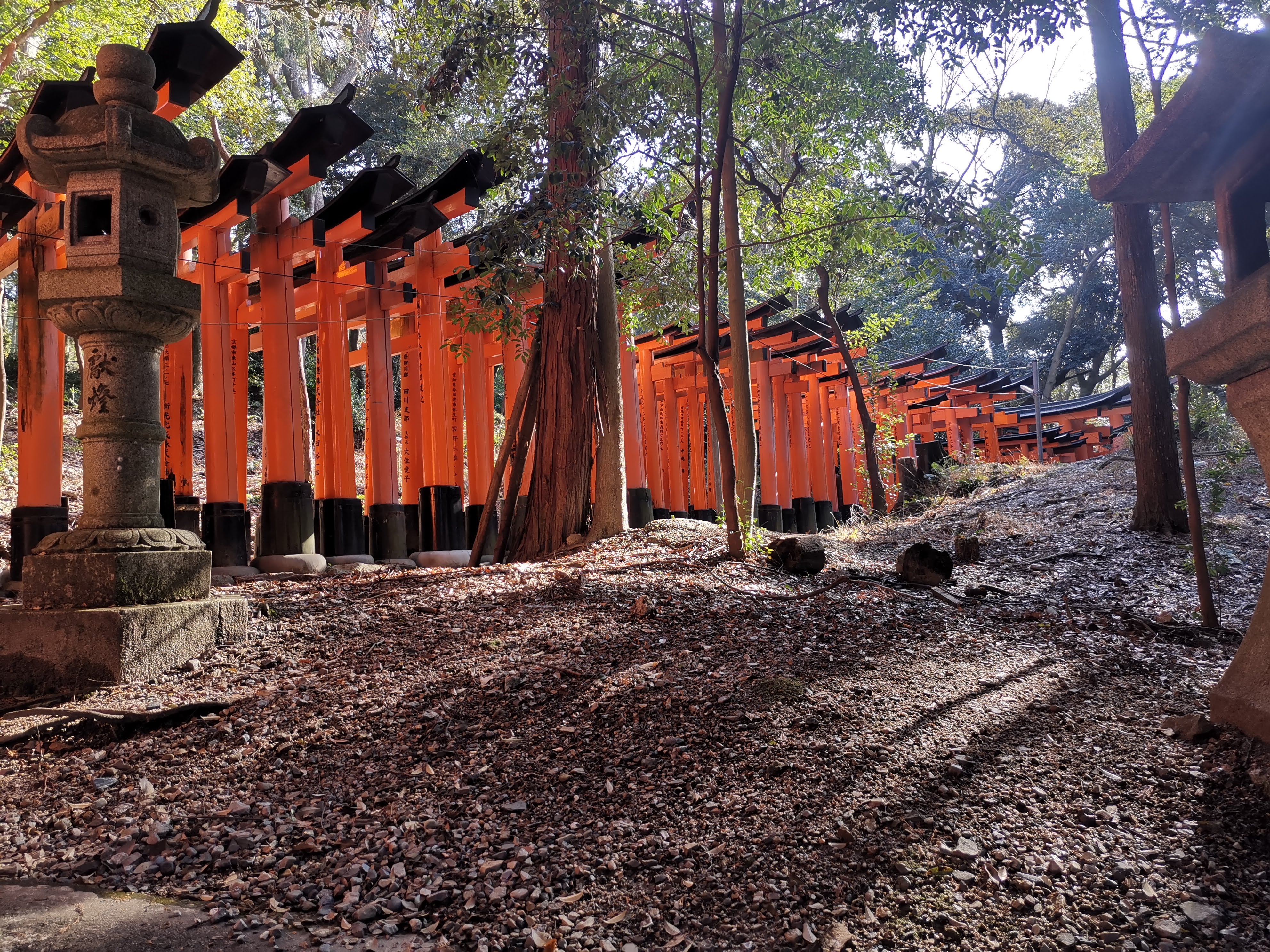 fushimi inari taisha image