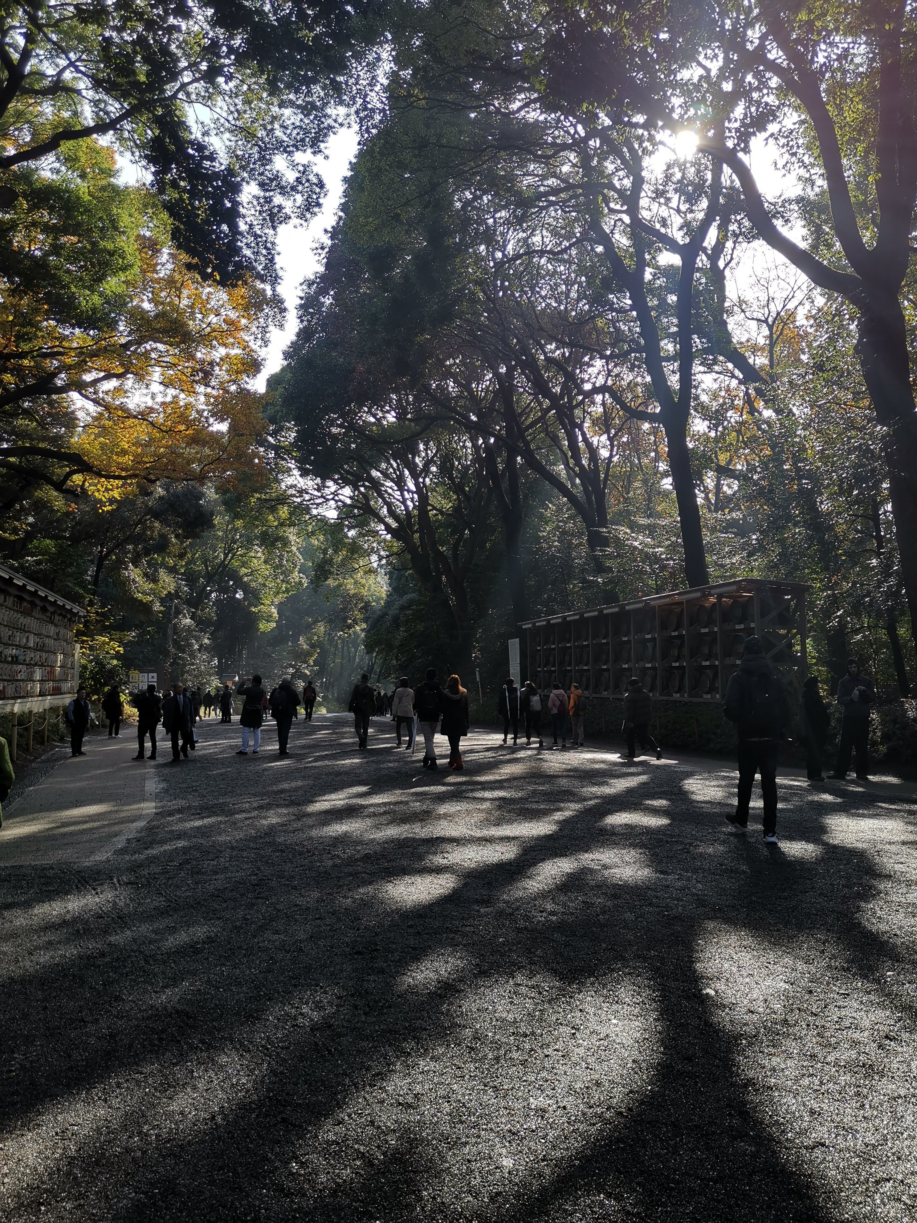 yoyogi park image